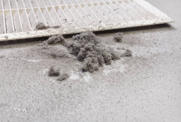 Best HVAC Air Duct Cleaning  in Mayer, AZ