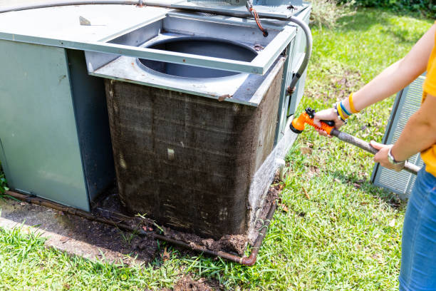 Best Ductwork Cleaning Services  in Mayer, AZ