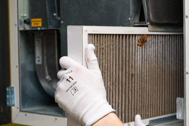 Best Home Air Vent Cleaning  in Mayer, AZ